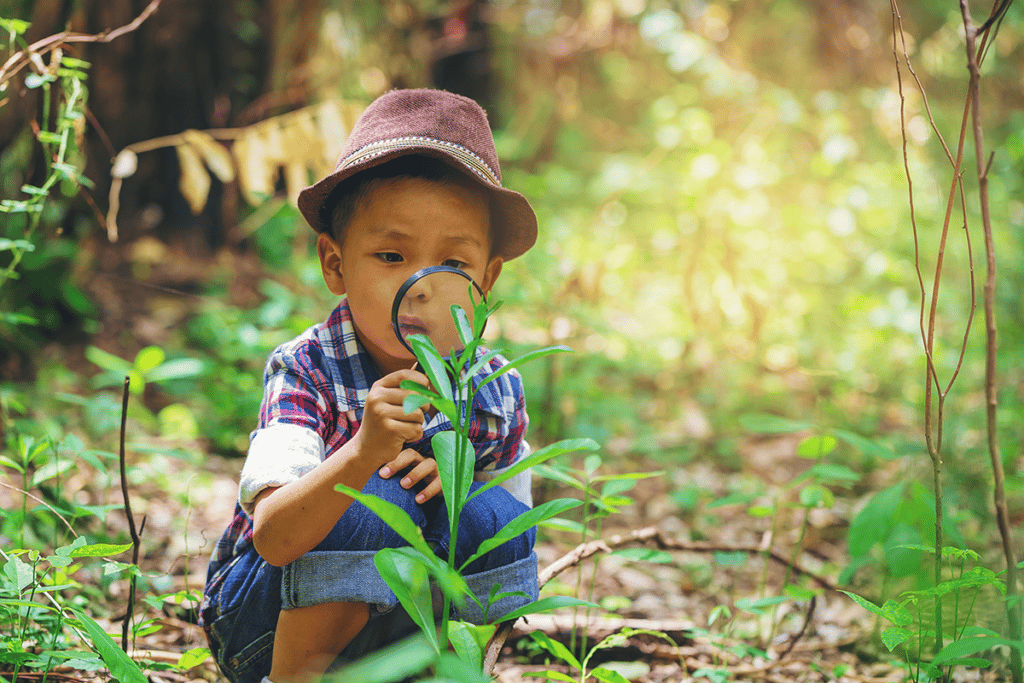 little boy looking at plant under magnifying glass